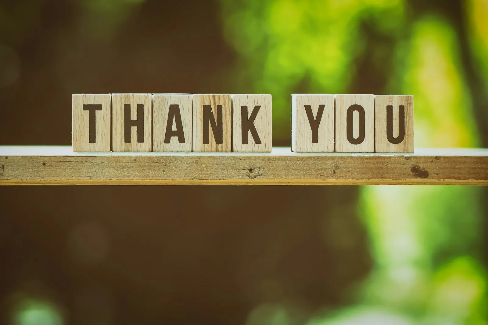 Wooden blocks spelling thank you