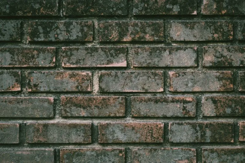 Mossy Dark Brick