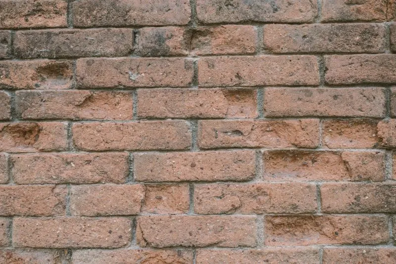 Pitted Salmon Brick