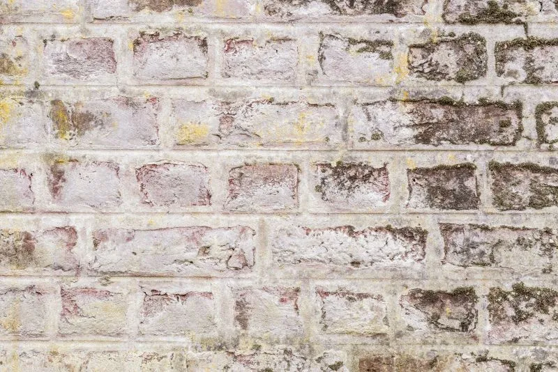 Lichen Limewash Brick