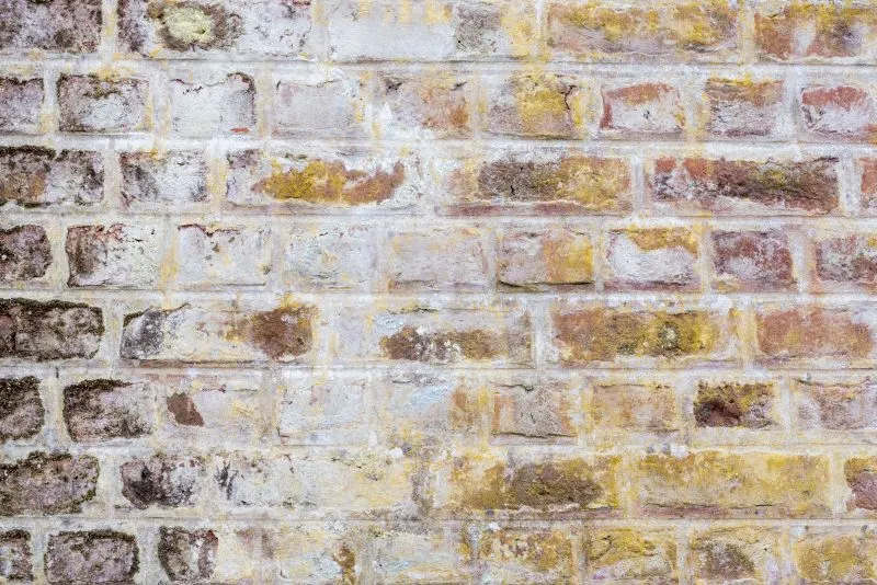 Ochre Stained Limewash Brick