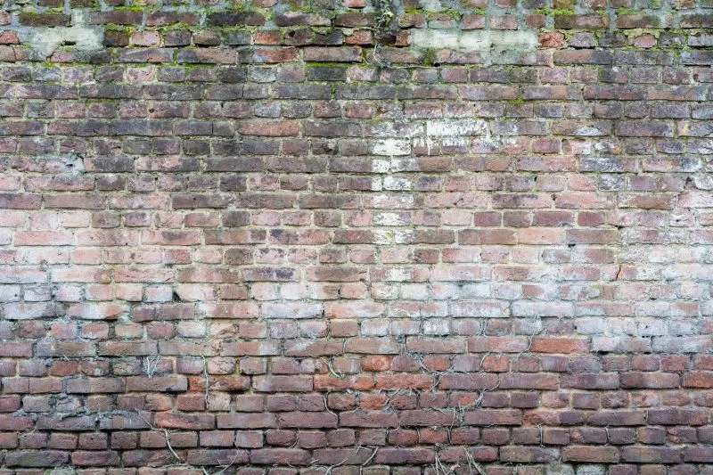 Mossy Faded Brick Wall
