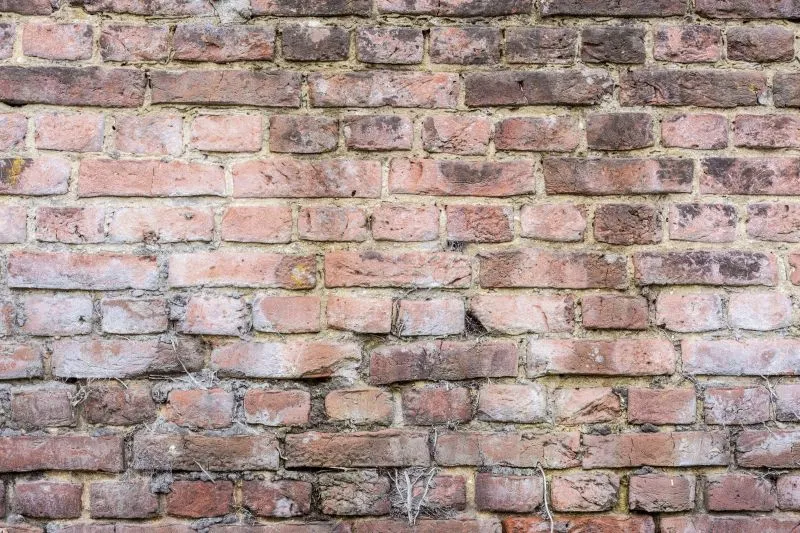 Dusty Rose Brick