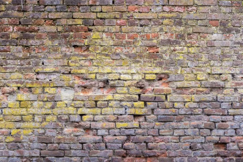 Yellow Stained Brick
