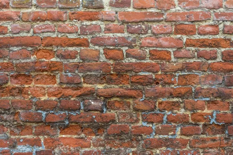 Orange Mortar Brick Wall