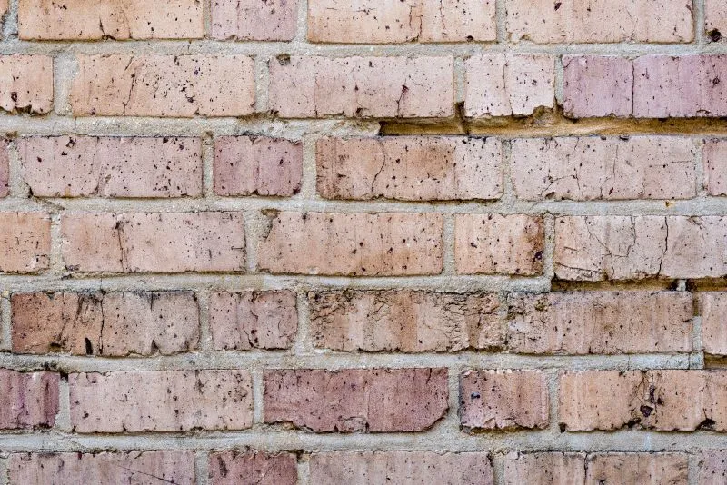 Porous Pink Brick