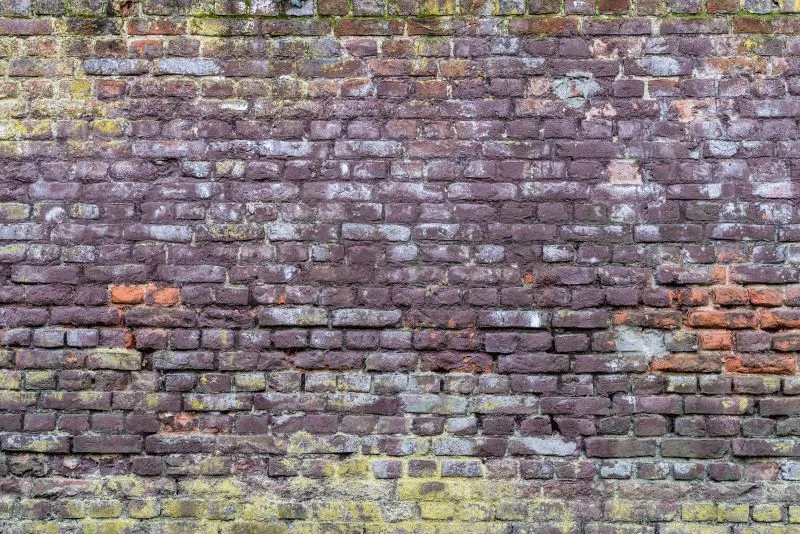 Violet Moss Brick
