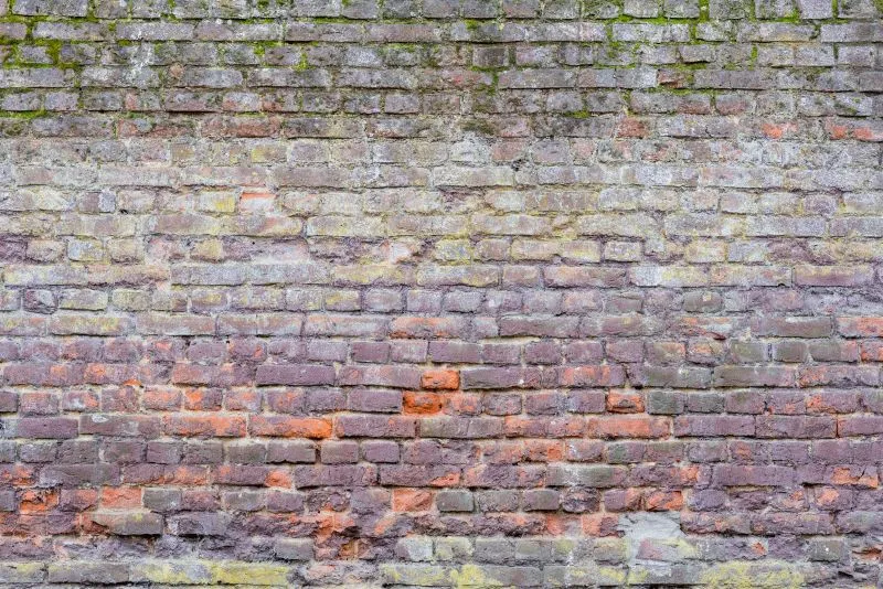 Mossy Violet Brick