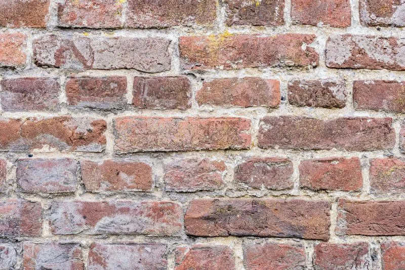 Rugged Red Brick