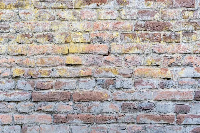Pale Patchy Brick