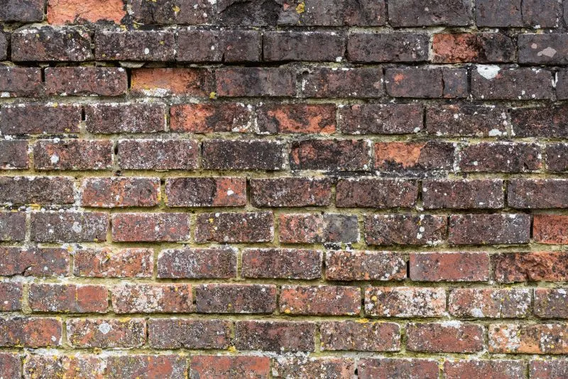 Charcoal Speckled Brick