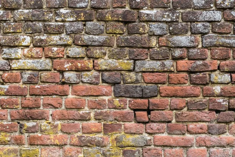 Lichen Rubble Brick