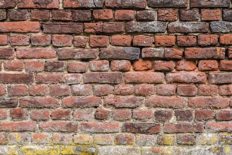 Moss Base Red Brick