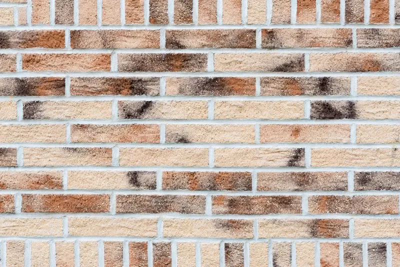Flame Streak Brick