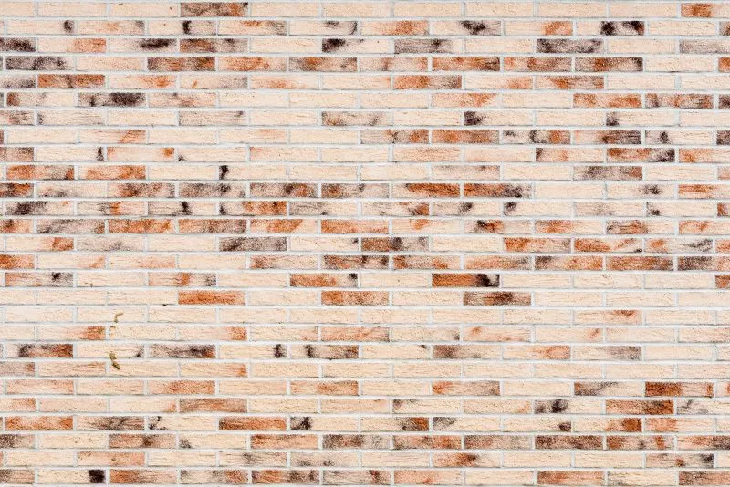 Pale Speckled Brick