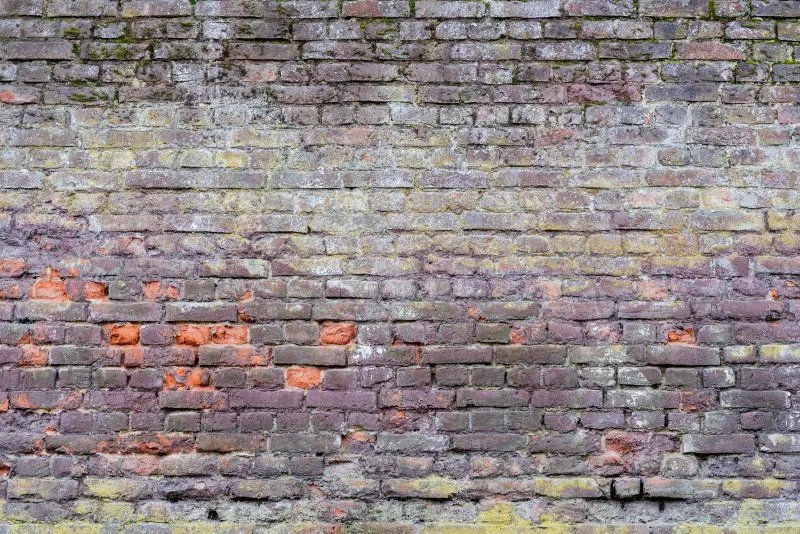 Purple Moss Brick