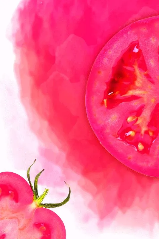 Fruits & Vegetables #015