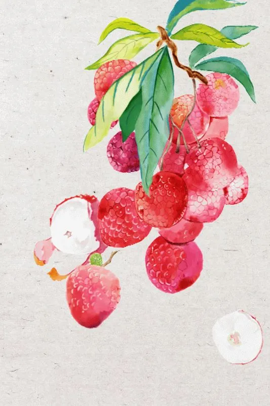 Fruits & Vegetables #018