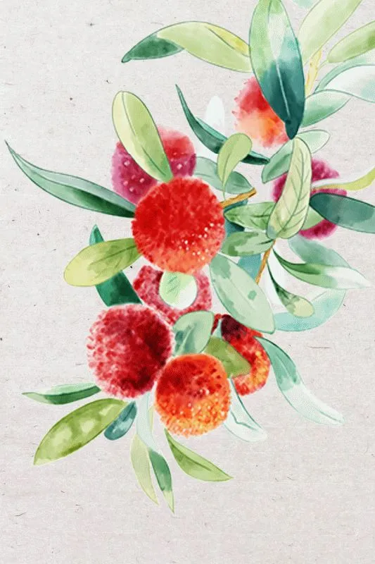 Fruits & Vegetables #019