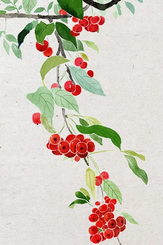 Fruits & Vegetables #020