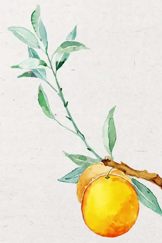 Fruits & Vegetables #042