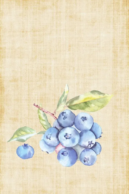 Fruits & Vegetables #045