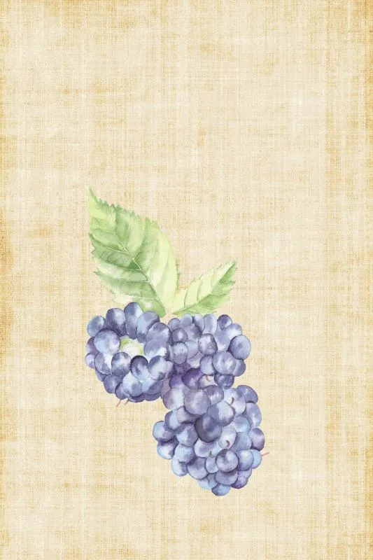 Fruits & Vegetables #047
