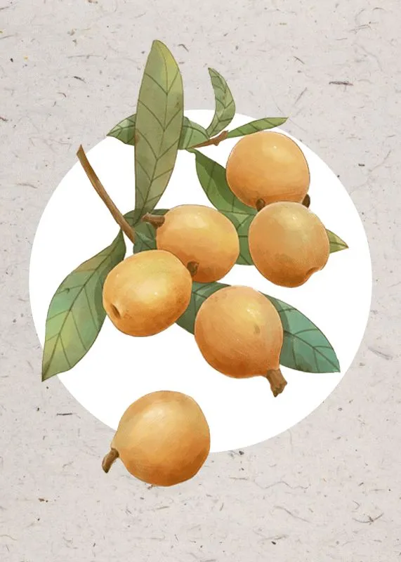 Fruits & Vegetables #048