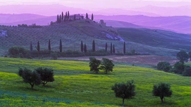 Tuscan hills in soft lavender mist, with a hilltop villa, cypresses and scattered olive trees