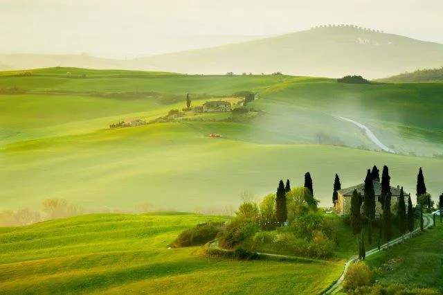 Pale green Tuscan hills fading into morning mist, with a winding road and a line of cypress trees