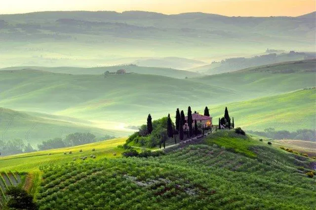 A farmhouse among cypress trees on a soft green hill, with vineyards and misty hills beyond