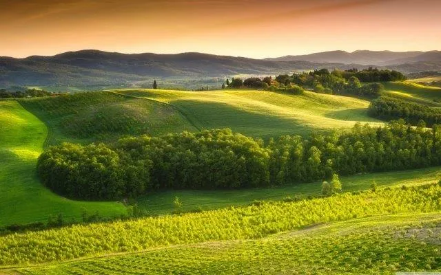 Bright emerald fields and tree lines rolling toward a warm evening sky in the Tuscan countryside