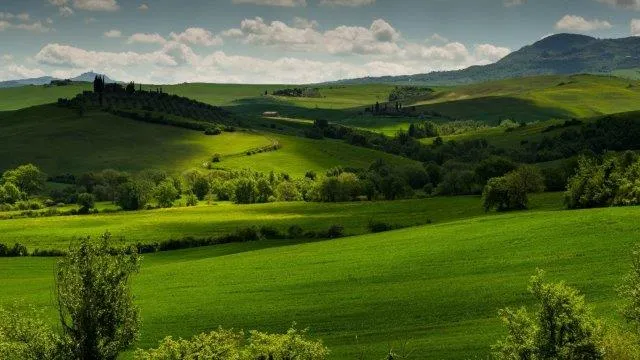 Rolling green Tuscan meadows and hills under a bright, partly cloudy sky