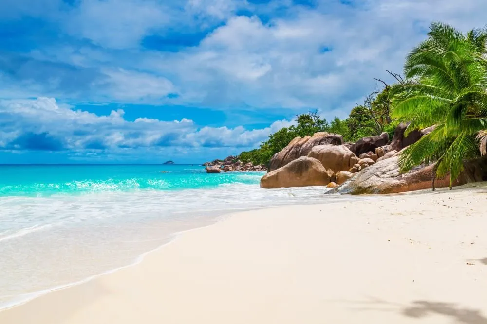Beach #006