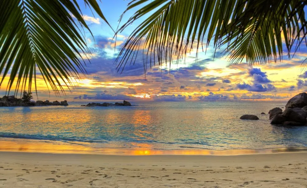 Beach #008