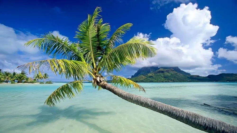 Beach #009