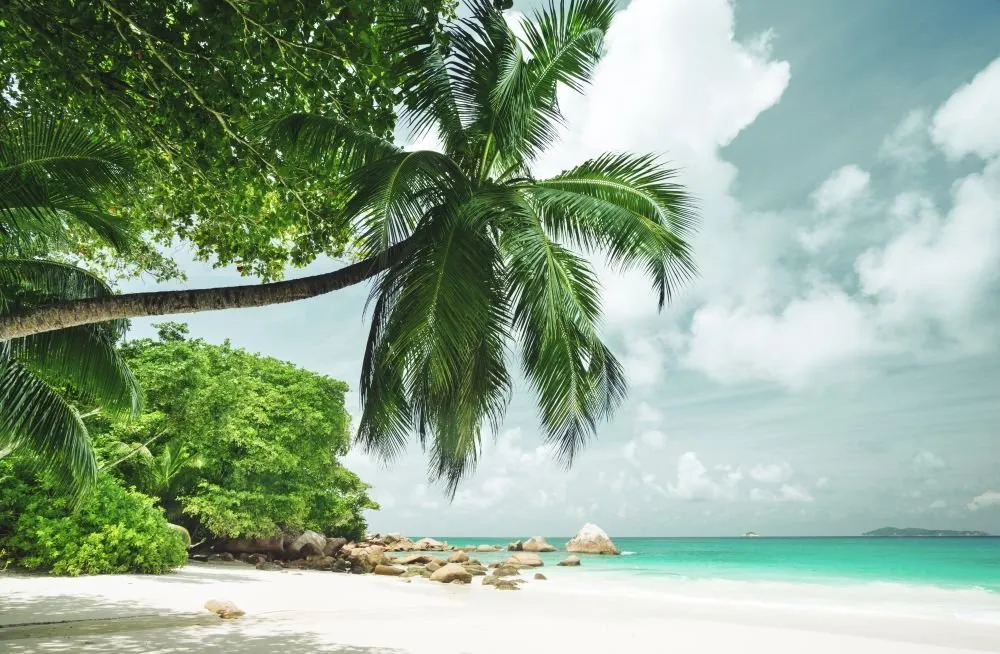 Beach #017