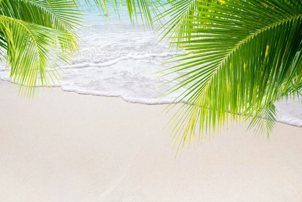 Beach #022