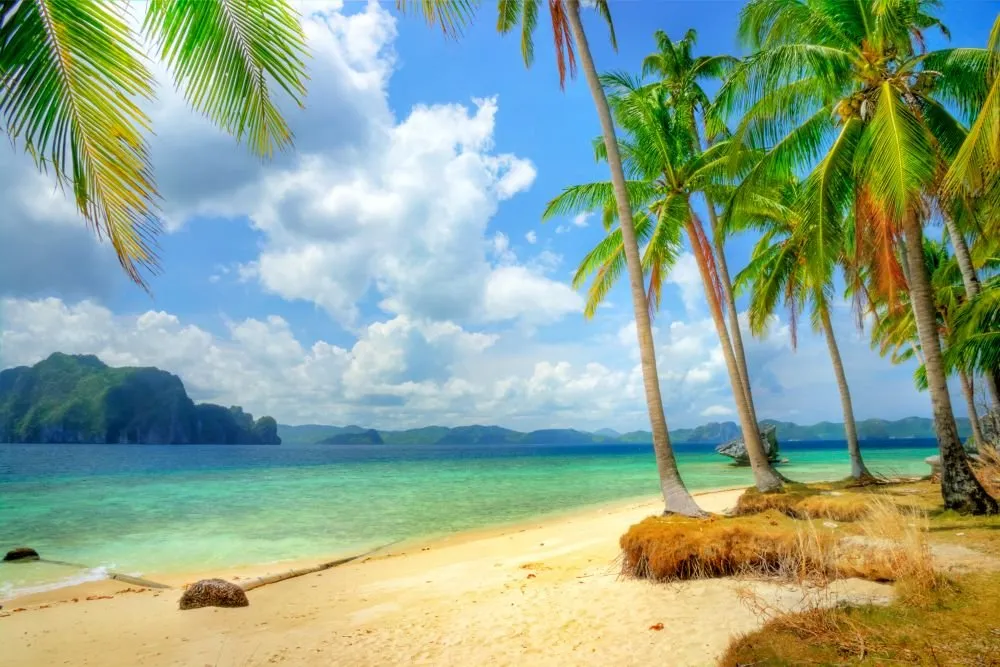 Beach #031