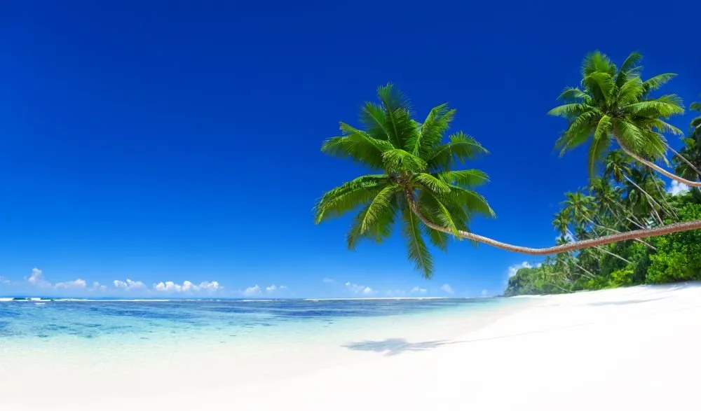 Beach #047