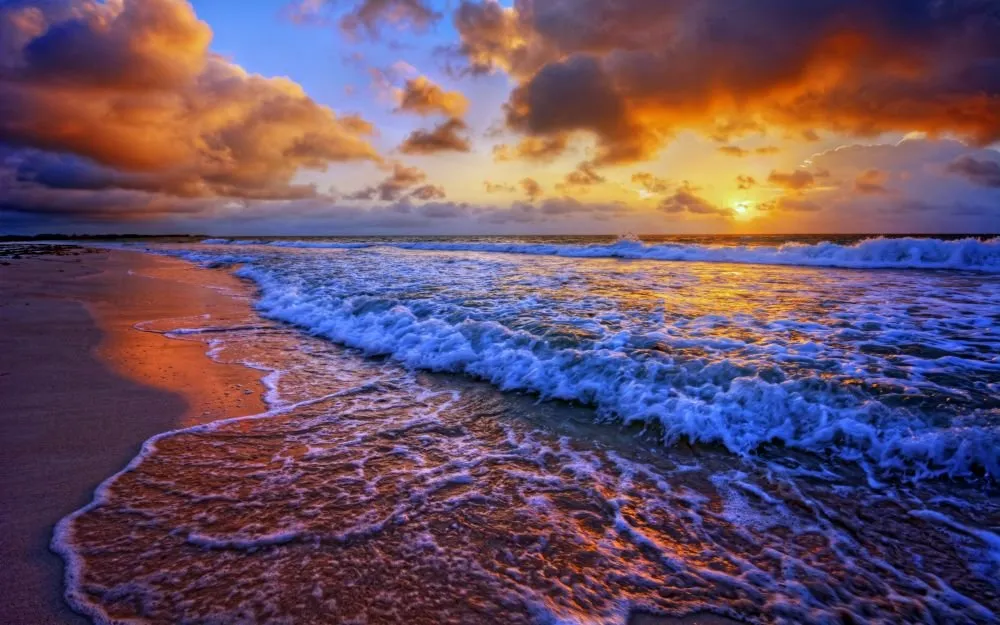 Beach #058
