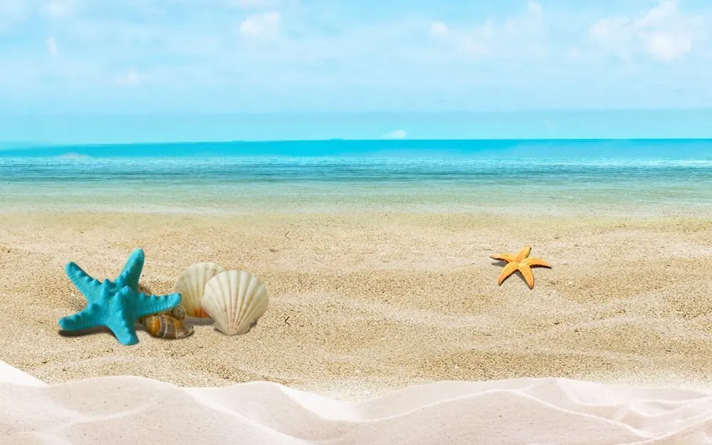 Beach #087