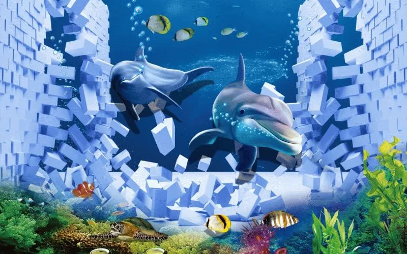 Dolphin #089
