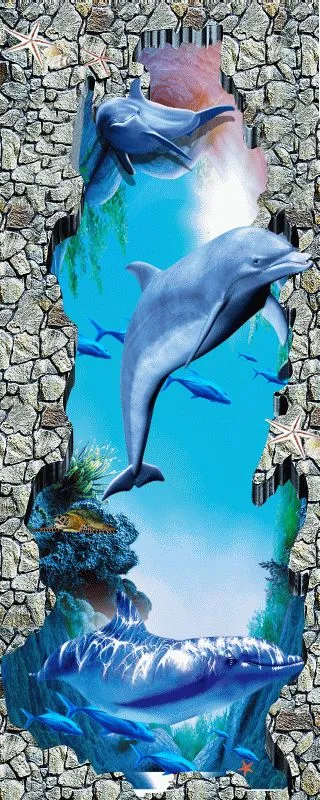 Dolphin #500