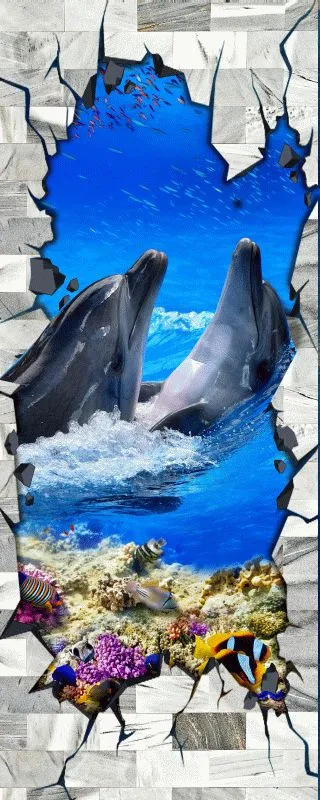 Dolphin #505