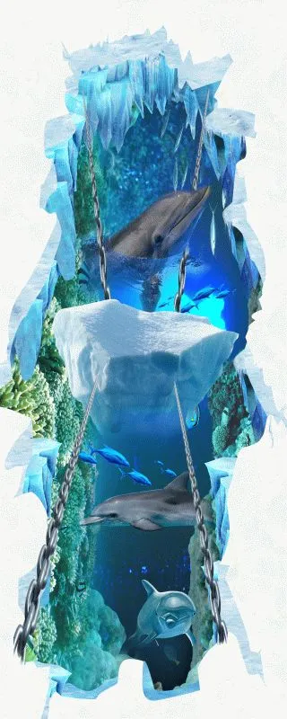 Dolphin #507
