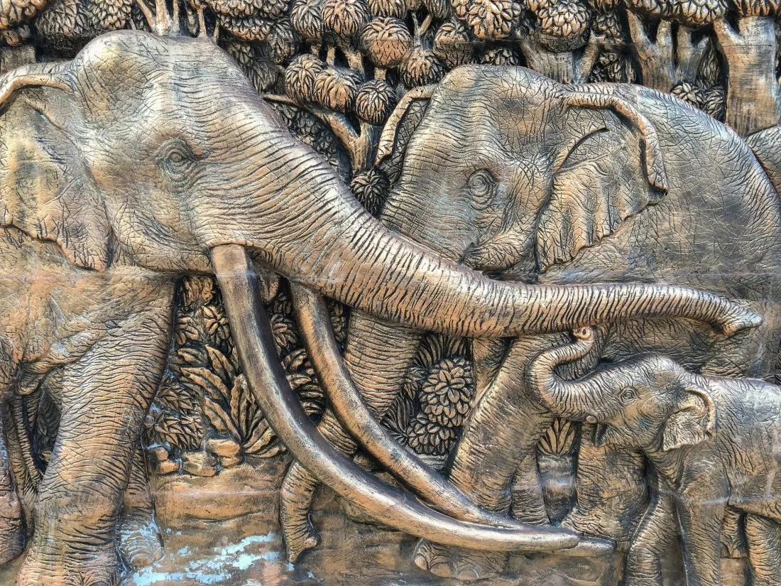 Elephant #005