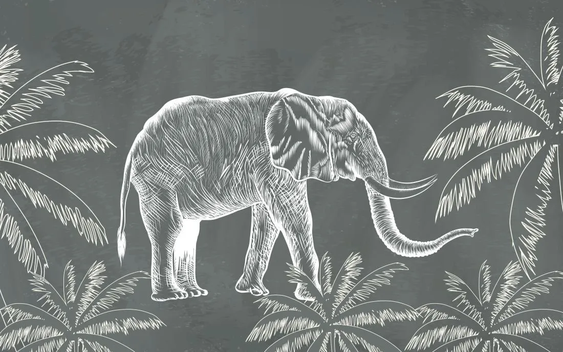 Elephant #006