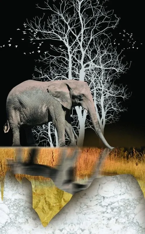 Elephant #503