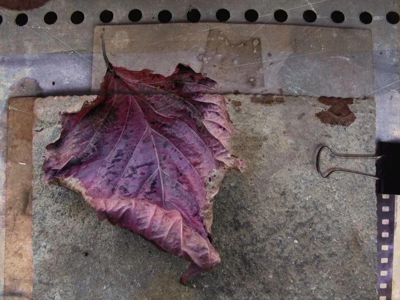 Purple Leaf Industrial